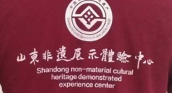 青岛企业T恤衫定制,苏州鹰诺服装衫定制厂家